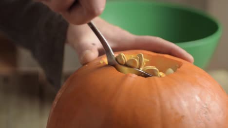 removing pumpkin seeds from a ripe fresh pumpkin with a spoon