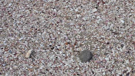 a right to left pan of beach sand and crushed seashells