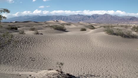 sandy low dunes with small shrubs in death valley, mojave desert, california, aerial dolly in shot