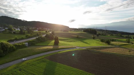 sunset over lush green fields and a road winding through greifensee, switzerland