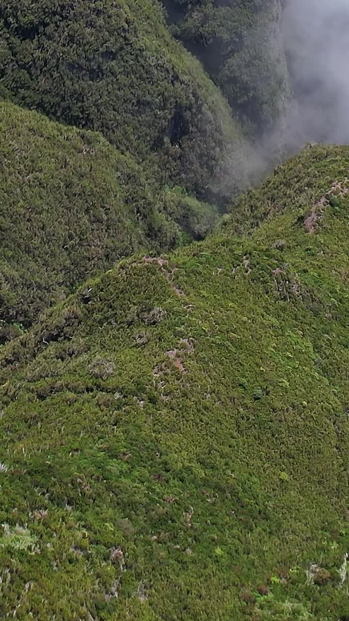 Verdi e lussureggianti colline di Madeira riprese da un punto di osservazione elevato