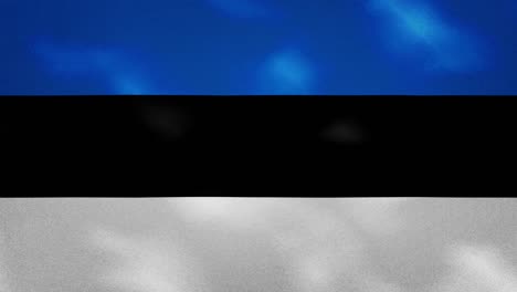 estonian dense flag fabric wavers, background loop