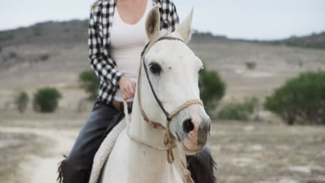 woman riding a horse in a country landscape