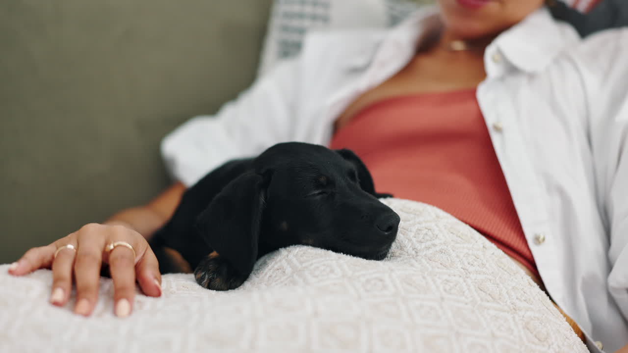 무 에 잠자는 강아지 를 들고 있는 여자