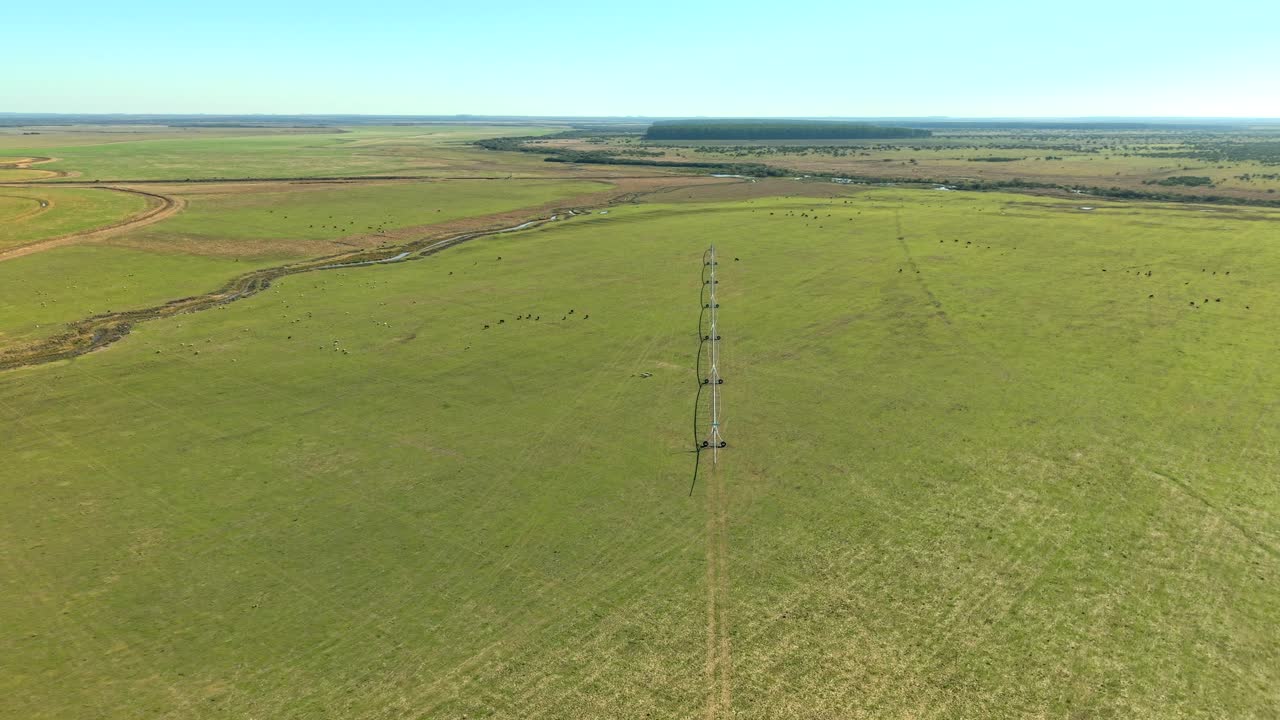 Wide aerial view of pivot irrigation and cattle grazing in Argentina, agribusiness investment