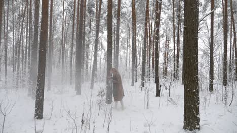 snowy forest