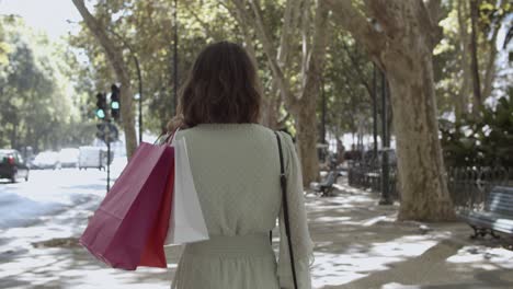 back view of woman holding bags on shoulder and walking