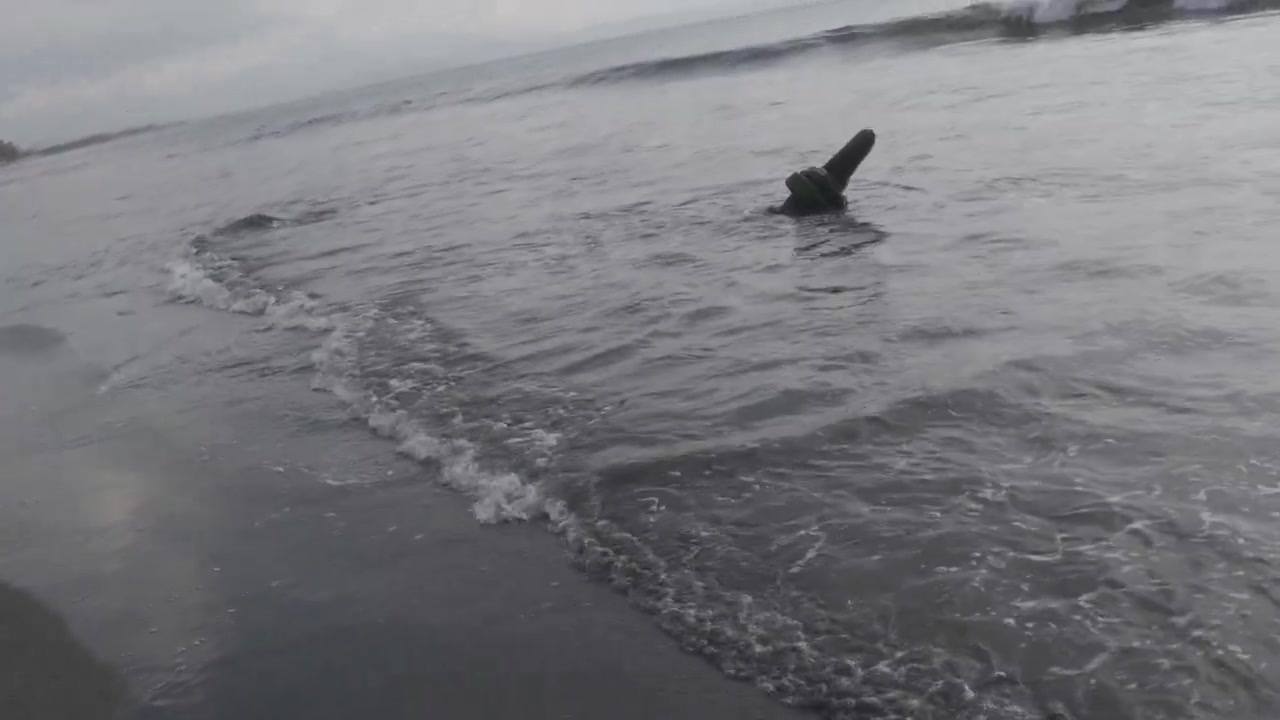 Debris Stuck in Shallow Water on a Dark Sand Beach