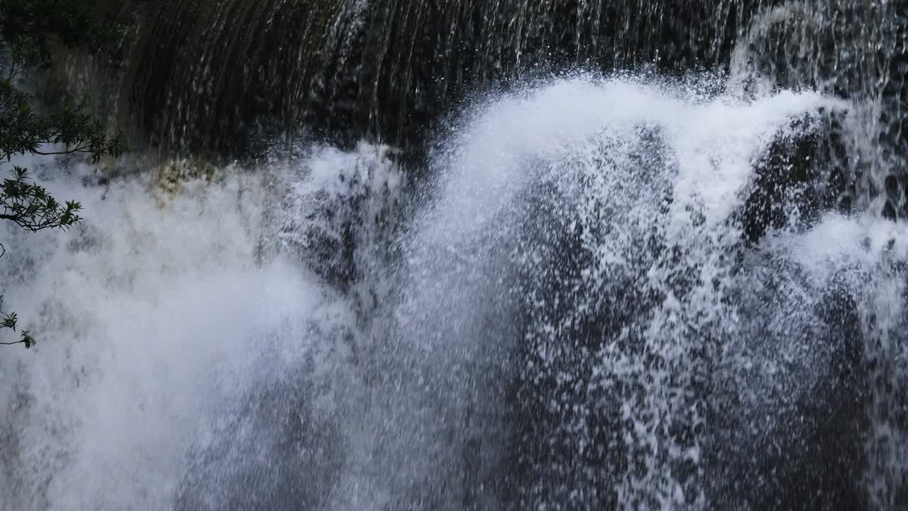 열대 천국 의 폭포