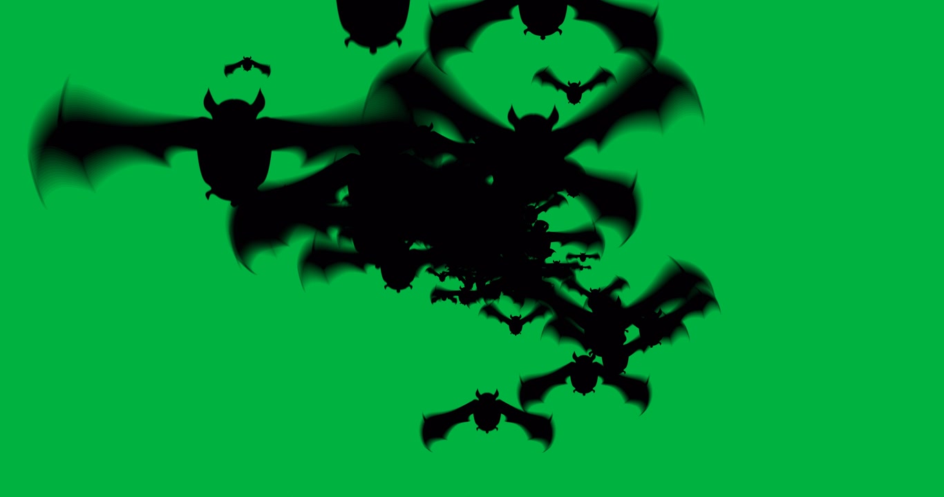 Animazione di pipistrelli neri che volano isolati su sfondo bianco