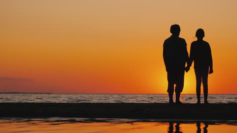 an elderly woman stands next to her granddaughter at sunset active seniors