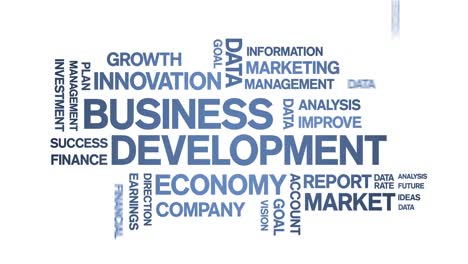 4k business development animated tag word cloud,text animation seamless loop.