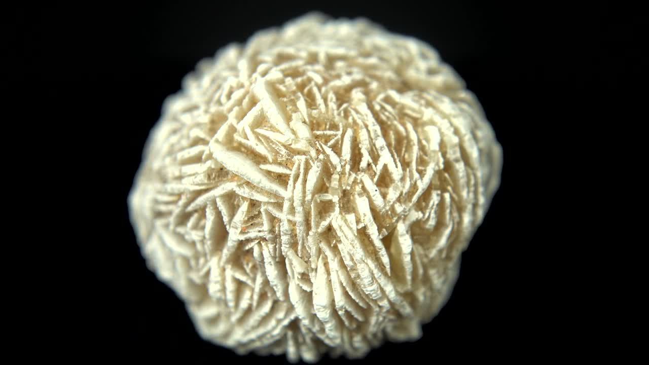 girando sin problemas un mineral en forma de rosa (rosa del desierto) frente a un fondo negro