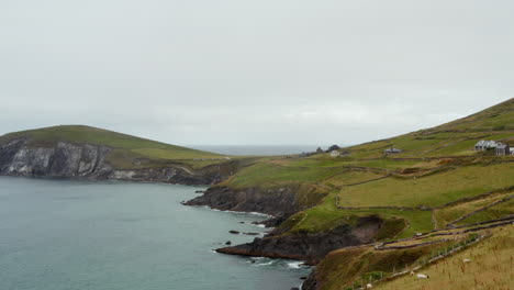 Aerial-descending-shot-of-coastal-landscape-with-meadows-and-pastures.-Sea-waves-washing-rugged-rocky-coast.-Ireland