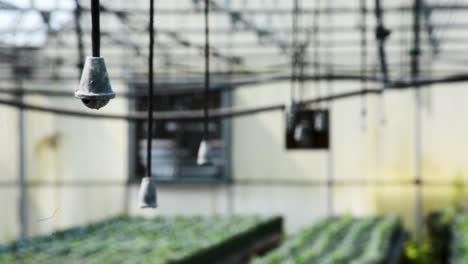 sistema de riego de agua de jardín de invernadero listo para usar en flores