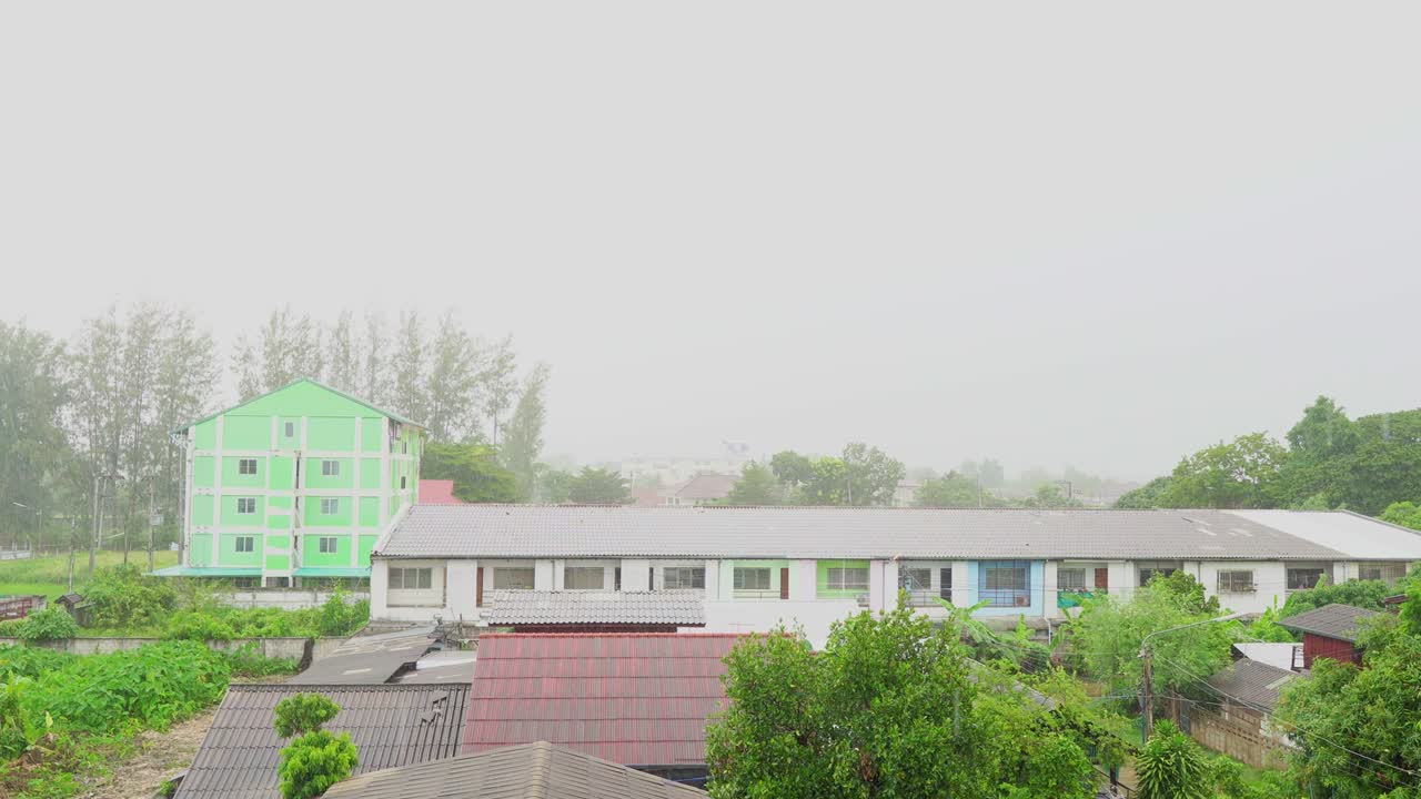 4k 집에 비가 내리고, 아름다운 풍경, 낮에는 잎 위에 비가 올 때, 작은 나무에 비가 떨어집니다.