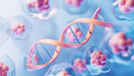 dna biology structure and transparent cell, 3d rendering.