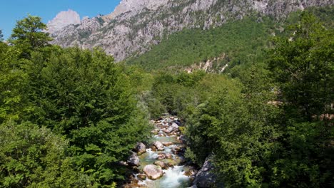 beautiful river in valbona valley with clean water splashing furiously on cliffs through green forest