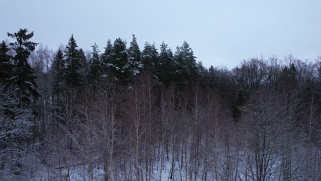 Langsam-Aufsteigender-Schuss-über-Bäume-Ohne-Blätter-In-Winterlandschaft