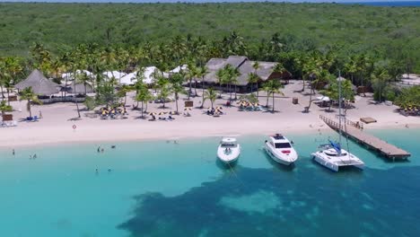 Blue-ocean-and-sandy-beach-with-palms-on-tropical-Catalina-Island,-drone-view