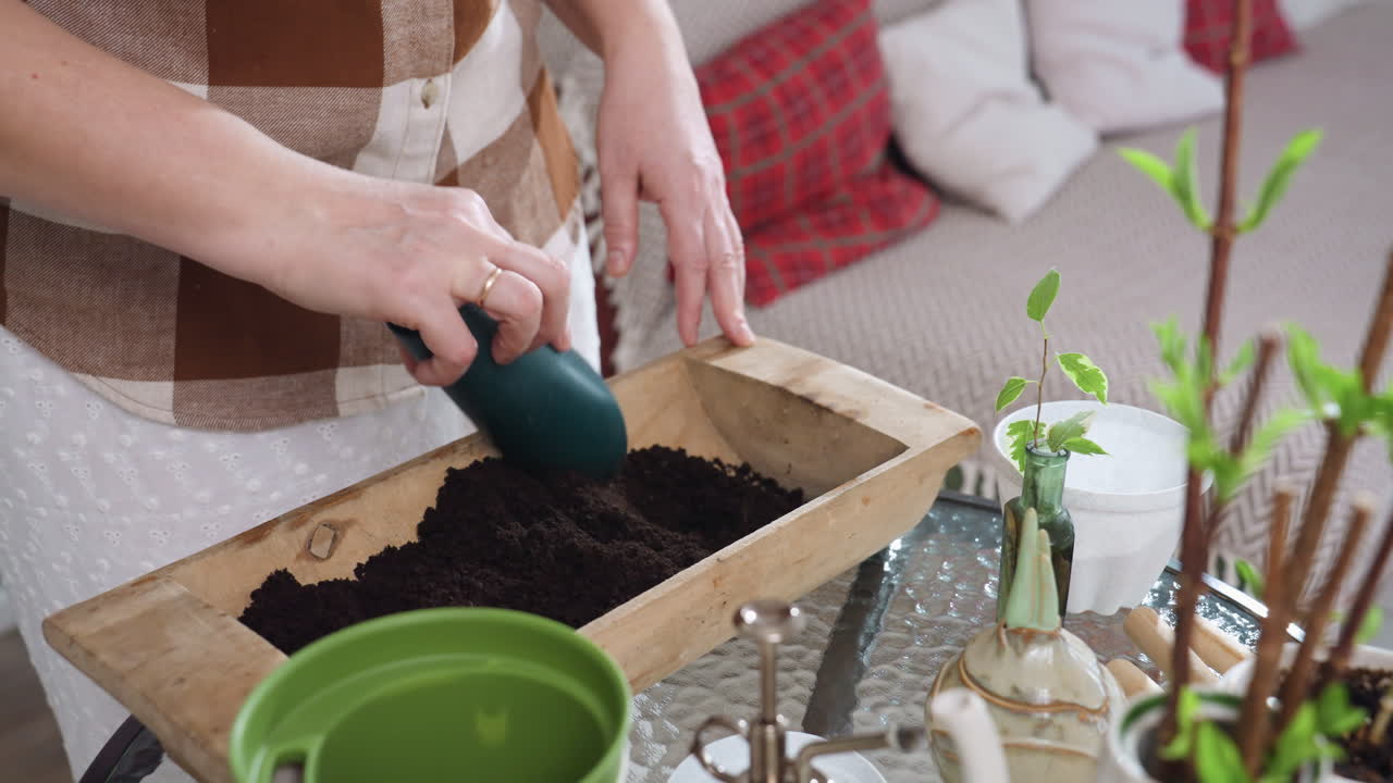 Lower view of urban gardener using blue plastic scoop to mix rich dark soil inside wooden planter box placed on glass table next to potted sprouts and couch with plaid pillow in cozy interior setting