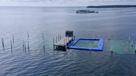 Parque-De-La-Isla-De-La-Piscina-De-Delfines-En-El-Mar-En-Punta-Cana,-República-Dominicana---Toma-Aérea-De-Drones