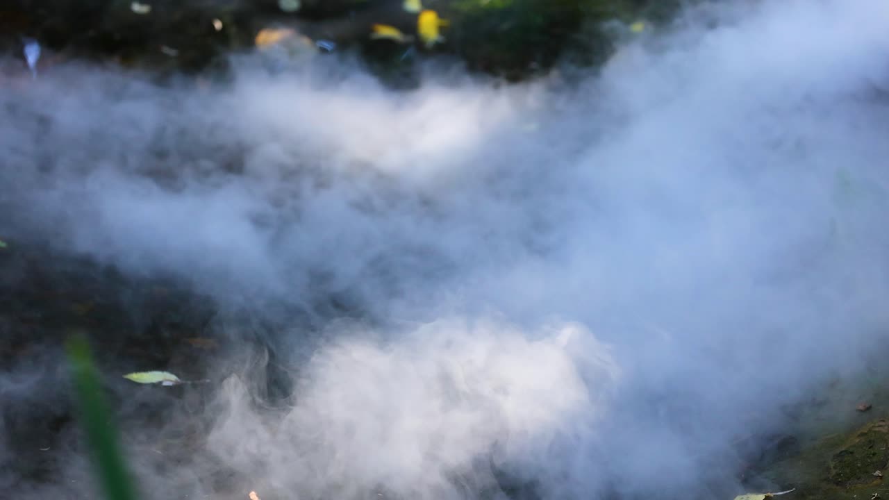 두꺼운 연기가 자연 환경 위에 떠다니고 있습니다.