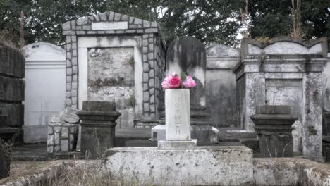 zoom in on a gravestone with the inscription "mother" in a cemetery