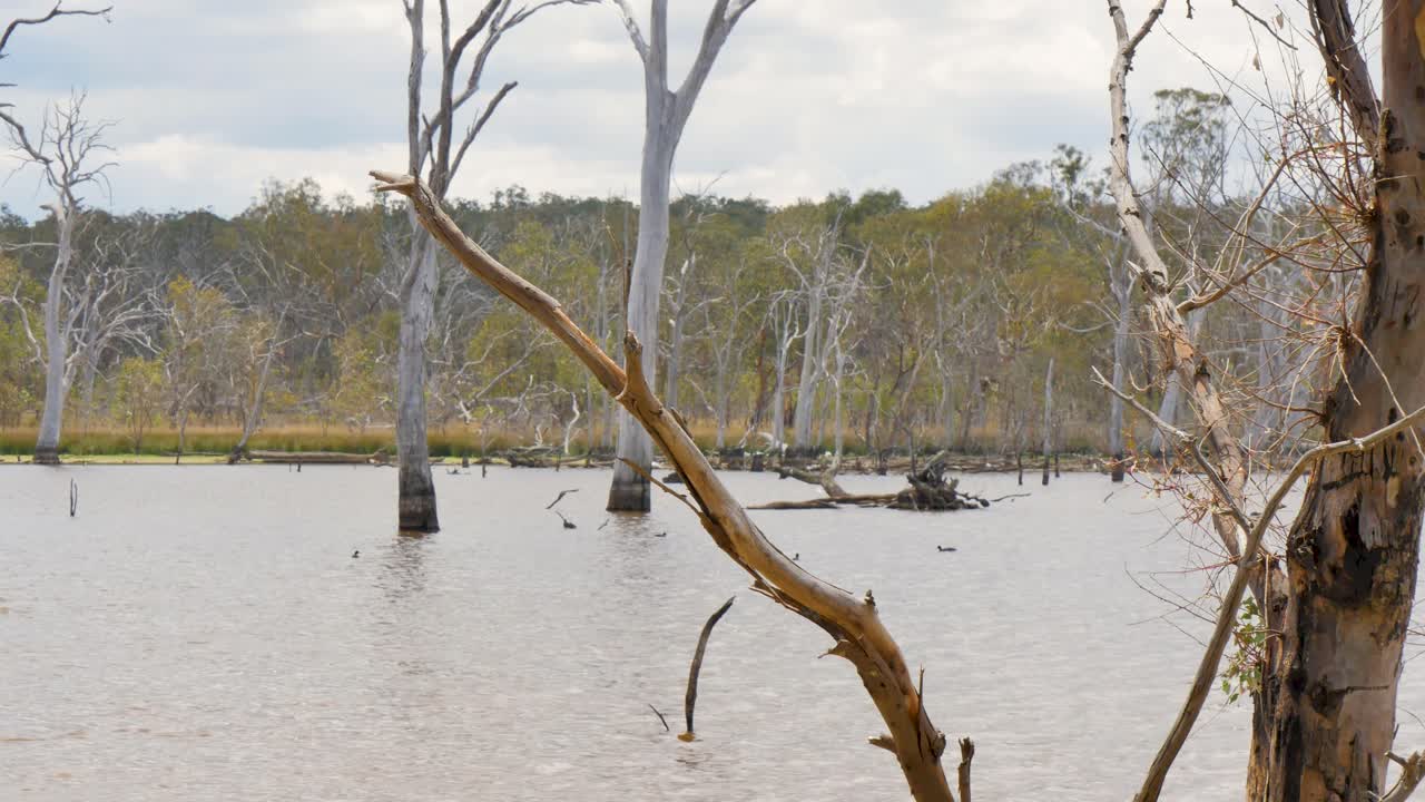 Sunny wetlands with the sky