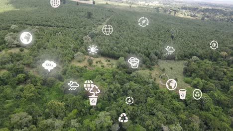 drone view- áfrica bosque- kenia y tanzania- incendio forestal en las laderas del monte kilimanjaro loitokitok kenia