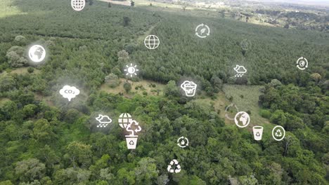 drone view- africa forest- kenya and tanzania-bush fire on slopes of mount kilimanjaro loitokitok kenya