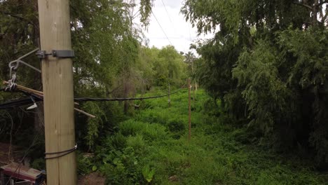drone flight follows a power line that runs through the middle of the amazon jungle