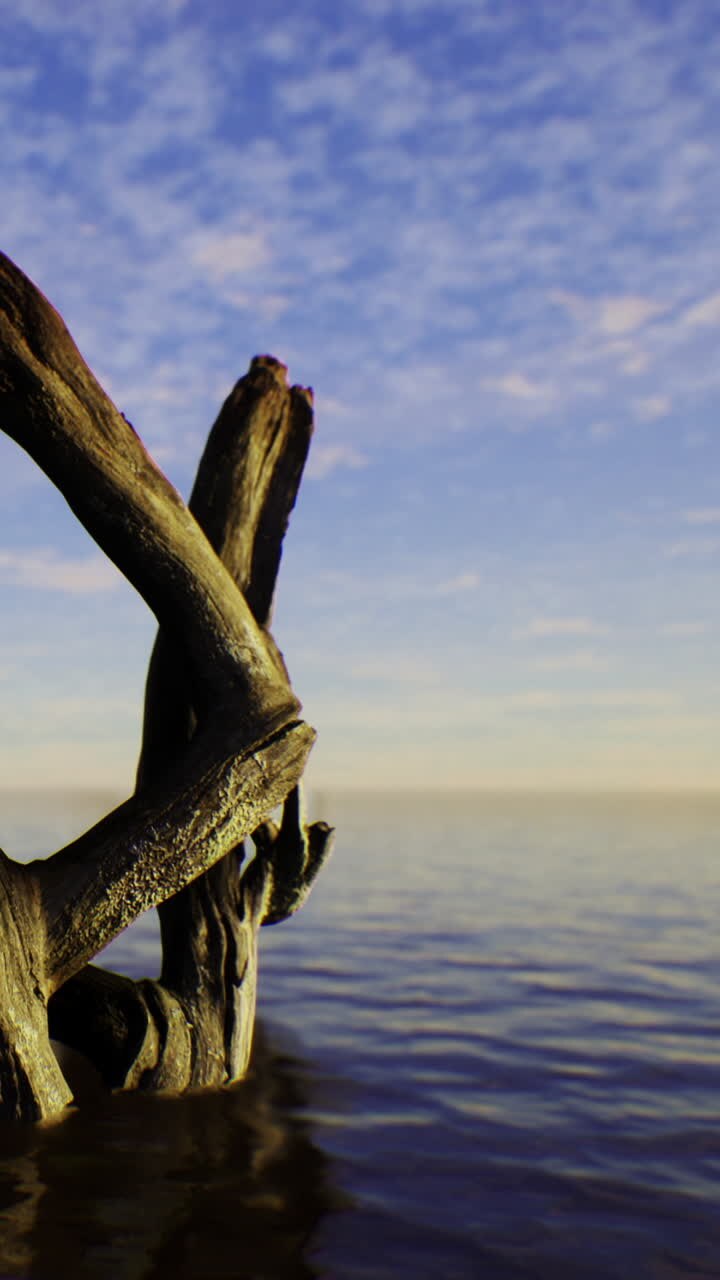 Struttura in legno galleggiante in acqua calma con cielo azzurro limpido