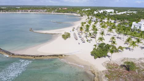 idílica playa de arena blanca y palmeras a lo largo de la costa caribeña, playa nueva