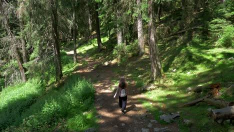 woman-walking-in-Piatra-Craiului,-Brasov-country,-Romania,-Transylvania-4K