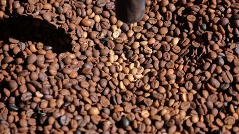 coffee beans roasting process