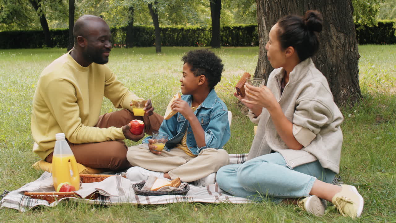 Glad afroamerikansk familie nyder picnic i parken