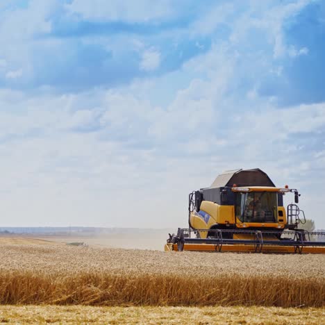 harvesting ripe crop on the yellow field. combine harvester working during seasonal works under the blue sky. agricultural machinery in action in summer.