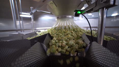 slow motion static shot of an avocado sorting machine at an avocado processing plant in uruapan