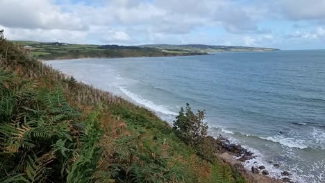 looking across fern covered hillside to sunny lligwy beach welsh bay coastline