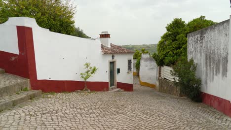 Casas-Del-Castillo-De-Óbidos-Que-Están-Pintadas-Con-Colores-Azul-Rojo-Y-Amarillo