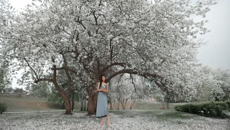 woman in a blue dress under a blossoming tree