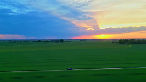 Aerial-drone-rotating-shot-over-green-agricultural-wheat-field-with-sun-setting-during-evening-time