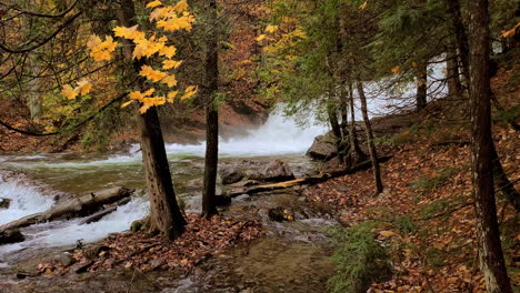 tiered waterfall in river with forest tree foliage displaying fall colors