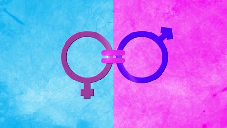 animación de símbolos de género masculino y femenino unidos por un signo de igualdad, en rosa y azul