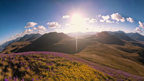 mountain floral panorama