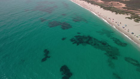 flying towards emerald ocean with tourist under umbrellas on white long sand in the coast of sardinia, island of italy during sunny day