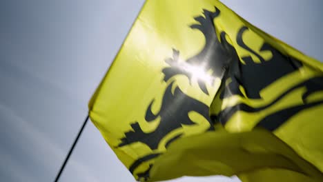 Flagge-Von-Flandern,-Genannt-Der-Flämische-Löwe