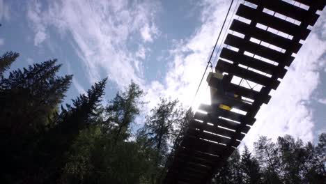 wooden suspension bridge in forest