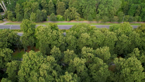 Drone-trucking-pan-along-thick-forested-highway,-space-for-text-below-in-trees